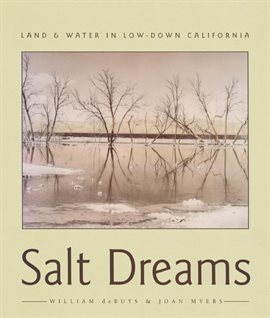Cover image for Salt Dreams