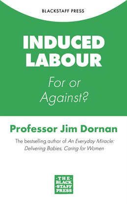 Cover image for Induced Labour