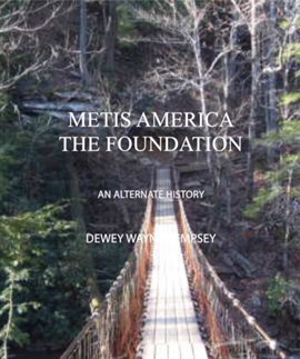 Imagen de portada para Metis America - The Foundation