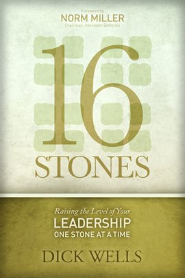 Imagen de portada para 16 Stones