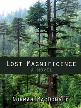 Cover image for Lost Magnificence