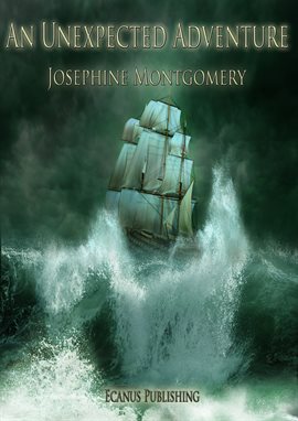 Cover image for An Unexpected Adventure