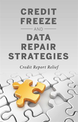 Imagen de portada para Credit Freeze and Data Repair Strategies