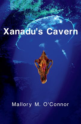 Cover image for Xanadu's Cavern