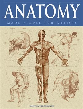Cover image for Anatomy Made Simple for Artists