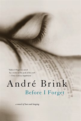 Cover image for Before I Forget