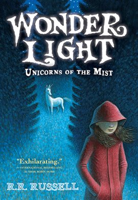 Cover image for Wonder Light