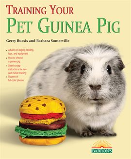 Cover image for Training Your Guinea Pig