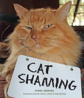 Imagen de portada para Cat Shaming