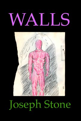 Cover image for Walls