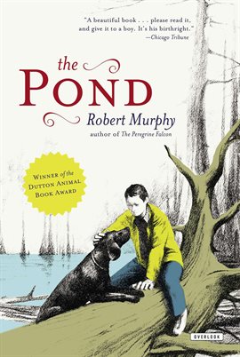 Cover image for The Pond