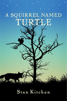 Cover image for A Squirrel Named Turtle