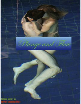 Cover image for Plunge and Flow