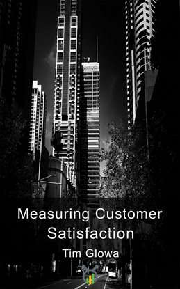 Cover image for Measuring Customer Satisfaction
