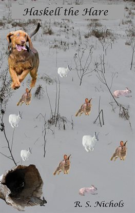 Cover image for Haskell the Hare