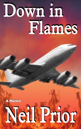 Cover image for Down in Flames