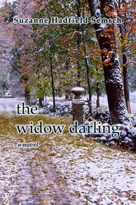 Cover image for The Widow Darling