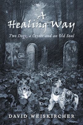 Imagen de portada para A Healing Way
