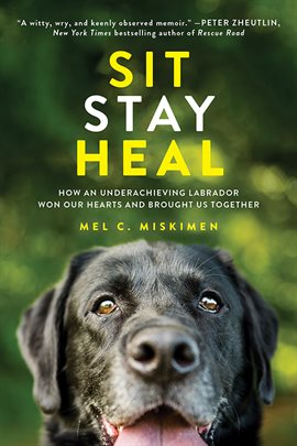 Imagen de portada para Sit Stay Heal
