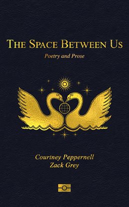 Cover image for The Space Between Us