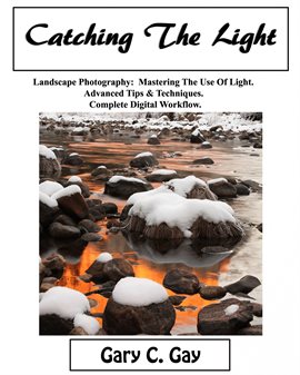 Cover image for Catching the Light