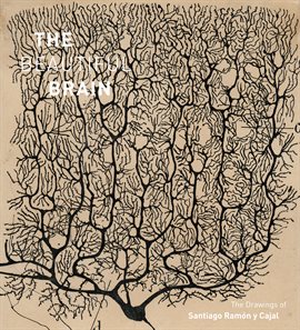 Cover image for The Beautiful Brain