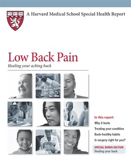 Imagen de portada para Low Back Pain