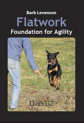 Cover image for Flatwork