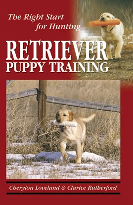 Imagen de portada para Retriever Puppy Training