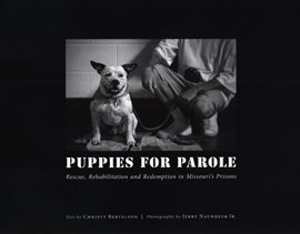 Cover image for Puppies for Parole