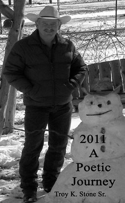 Cover image for 2011, A Poetic Journey