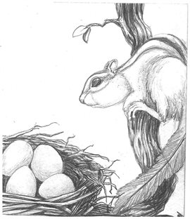 Cover image for Chipmunk's Journeys