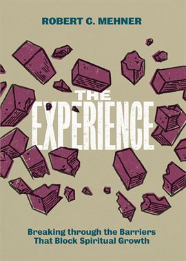 Cover image for The Experience