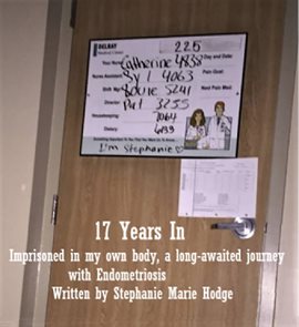 Cover image for 17 Years In