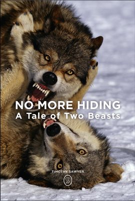Cover image for No More Hiding