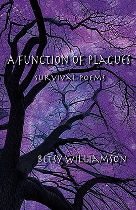 Imagen de portada para A Function of Plagues