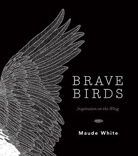 Cover image for Brave Birds