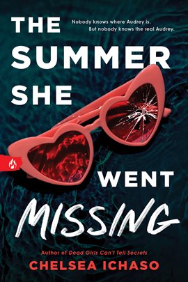 Cover image for The Summer She Went Missing