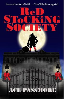 Cover image for Red Stocking Society