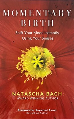 Imagen de portada para Momentary Birth