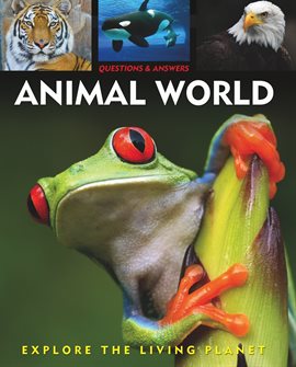 Cover image for Animal World