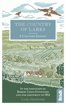 Imagen de portada para The Country of Larks: A Chiltern Journey