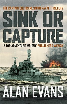 Cover image for Sink Or Capture