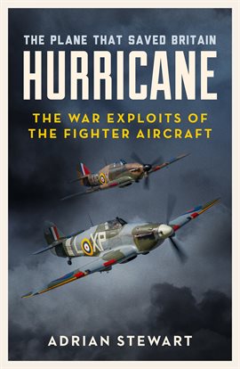 Cover image for Hurricane