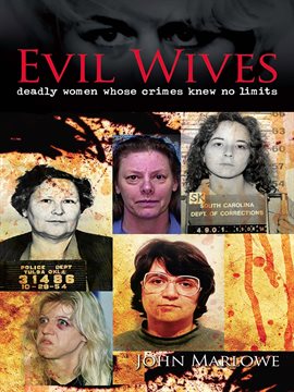 Cover image for Evil Wives