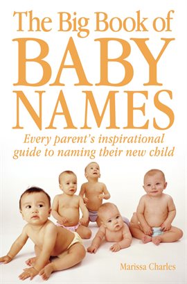 Cover image for The Big Book of Baby Names