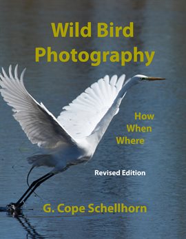 Imagen de portada para Wild Bird Photography