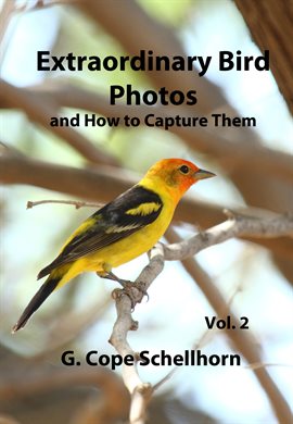 Cover image for Extraordinary Bird Photos and How to Capture Them Vol. 2