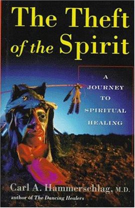 Imagen de portada para Theft of the Spirit