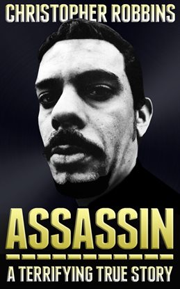 Cover image for Assassin
